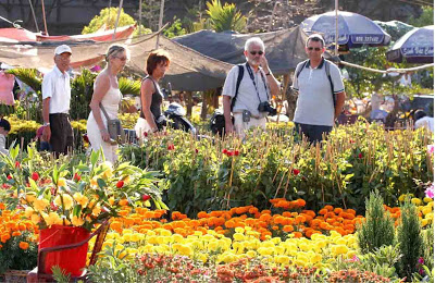 Hanoi to host 65 Spring Flower Markets on Tet holiday 2013