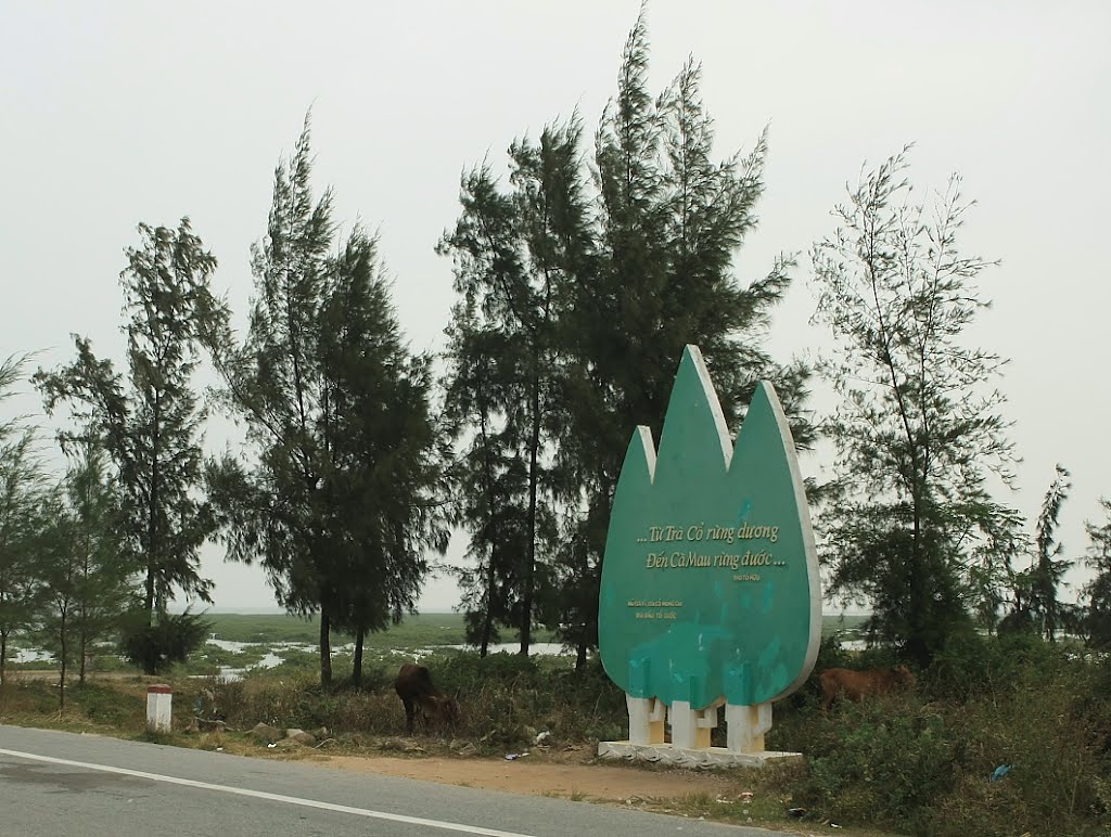 Tra Co Peninsula in Quang Ninh Province