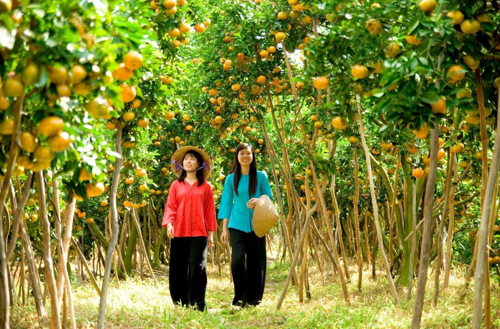 Cho Lach Orchard – the kingdom of fruits in Ben Tre